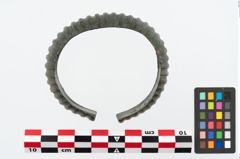 Foto von Bronzemelonenarmreif (NHMW-PRAE-025581)